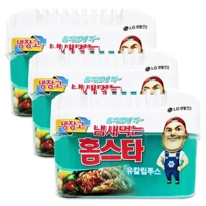 홈스타 냄새먹는 홈스타 냉장고용 유칼립투스 420g (3개)_이미지