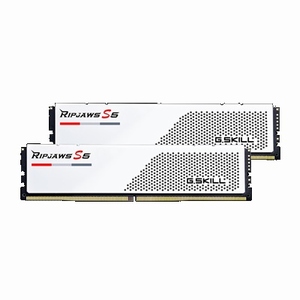 G.SKILL DDR5-6000 CL30 RIPJAWS S5 J 화이트 [64GB(32Gx2)]