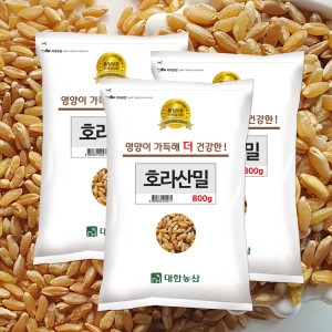 대한농산 호라산밀 800g_이미지