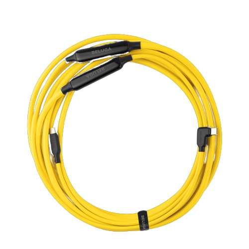 더블유아이 벨루가 하이웨이브 프로 USB 3.1 C to C타입 케이블 (5m)_이미지