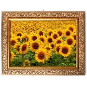 [불명] 해바라기액자 돈들어오는 그림 벽걸이 액자