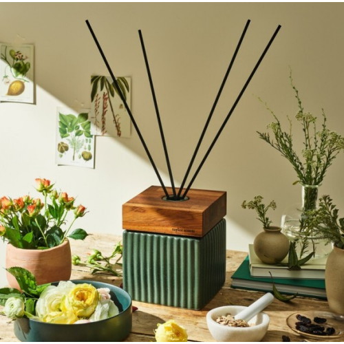 테일러센츠 ㅤOBJET LINE 디퓨저 500ml (1개)_이미지