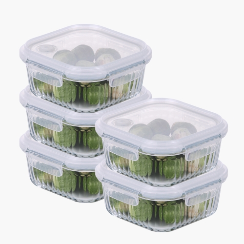 네오플램 웨이브락 내열유리 밀폐용기 V 스팀홀 정사각 800mL 5개