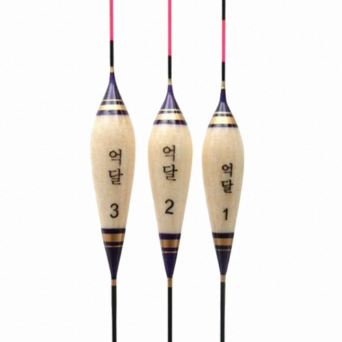 싸파 억달1 다루마 누드찌_이미지