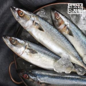 이동삼안동간고등어 안동간고등어 선물세트 400g [3개]