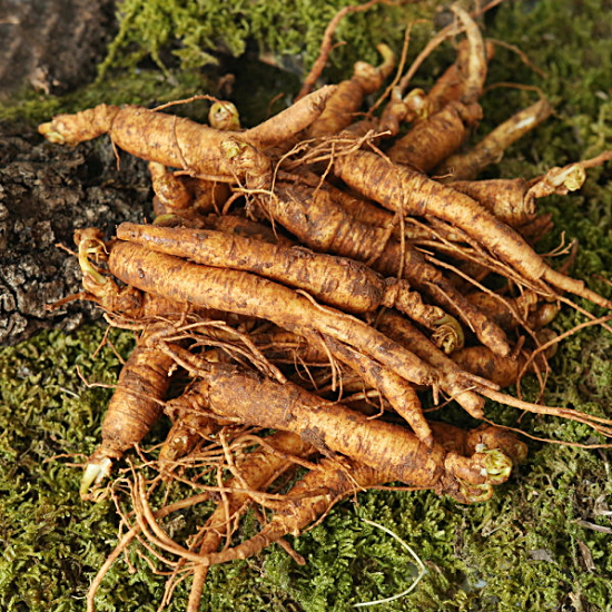 금산인삼 황금농장 잔뿌리(삼계탕, 갈비탕용) 750g (1개)_이미지