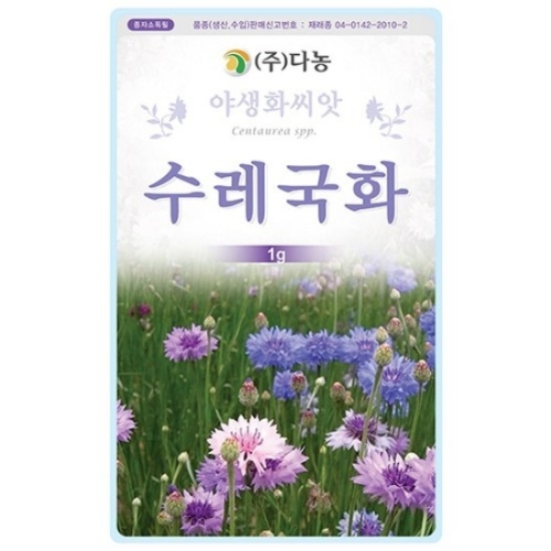 다농 수레국화씨앗 1kg_이미지