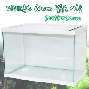 캣스타일 피쉬박스 엘린 60cm 넓은어항 60x35x40cm /열대어어항/어항/2자어항/오픈어항/예쁜어항/60cm어항