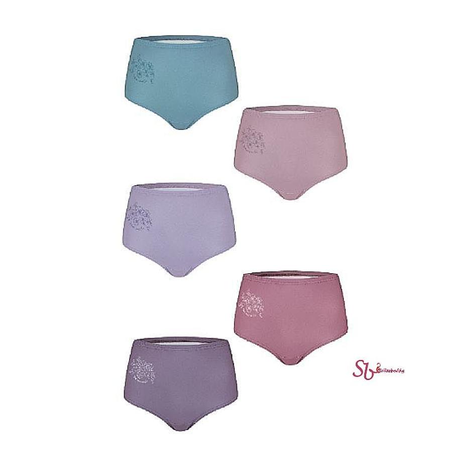 BYC 부인 여성 여성팬티 삼각 5매입 나보아팬티 면 브리프 면100 hgj818_이미지