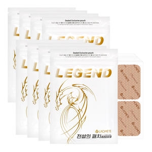 네트론 라오메뜨 전설의 패치 프리미엄 준대형