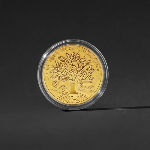 ����� Ȳ�� ���� �������� 0.1g