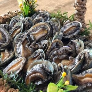 해신수산 완도 활전복 30-40미 1kg [1개]