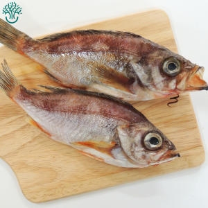 용궁수산시장 삼천포   반건조 생선 볼락 한꾸러미_이미지