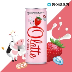 ���ƿ���ī ���� ���� 240ml CAN 30�� 2�ڽ�