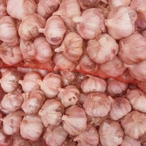 마늘쟁이 창녕 마늘 특대 5kg (1개)_이미지