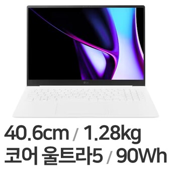 LG전자 2024 그램 프로16 16Z90SP-EA59K