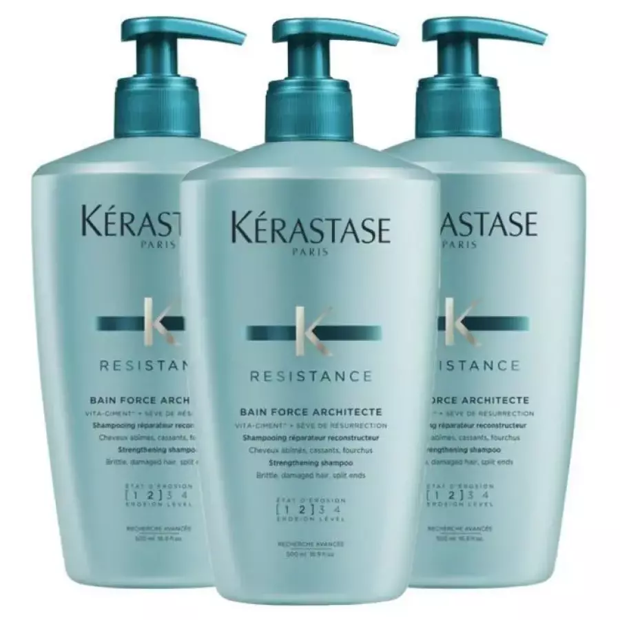 케라스타즈 방 포스 아키텍트 샴푸 500ml (3개)_이미지