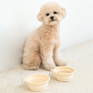 펫트리움 접이식 실리콘 보울 (1개)_이미지