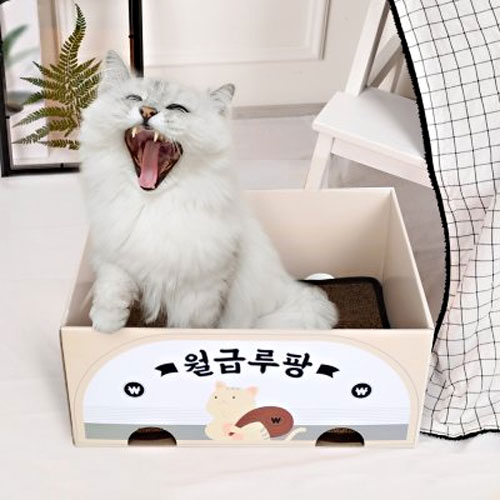 스크래쳐 박스 월급루팡