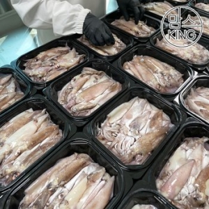 구룡포 강영수산 원양산 총알한치 1kg 30-46미