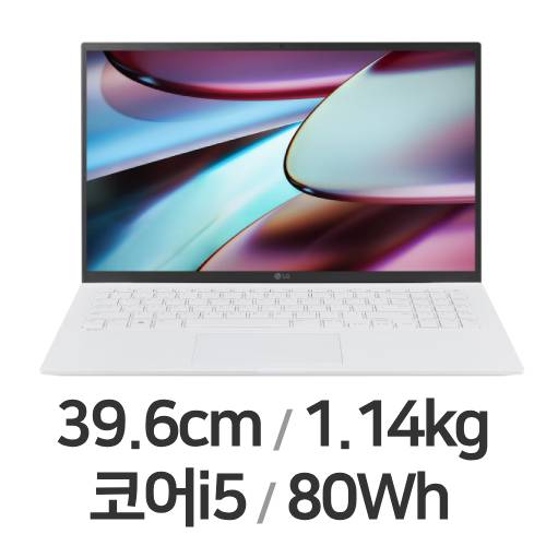 LG전자 2023 그램15 15ZB90R-GP56ML (SSD 256GB)