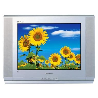 삼성전자 명품 CT-29K10V_이미지