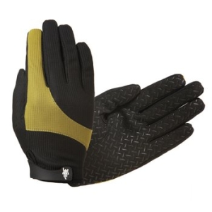 ��ĸ ��ĸ elcap �۷���