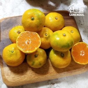  산앤들 타이벡 감귤 중대과 7.5kg [1개] 상품이미지