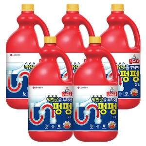 LG생활건강 홈스타 막힌 곳을 부탁해 펑펑 2L (5개)
