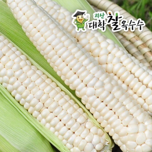 명가일품 괴산 대학 찰옥수수 17cm이상이미지입니다. 누르면 해당 게시물로 새창이동합니다.