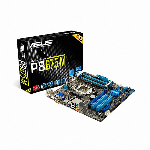 ASUS P8B75-M ���̺���
