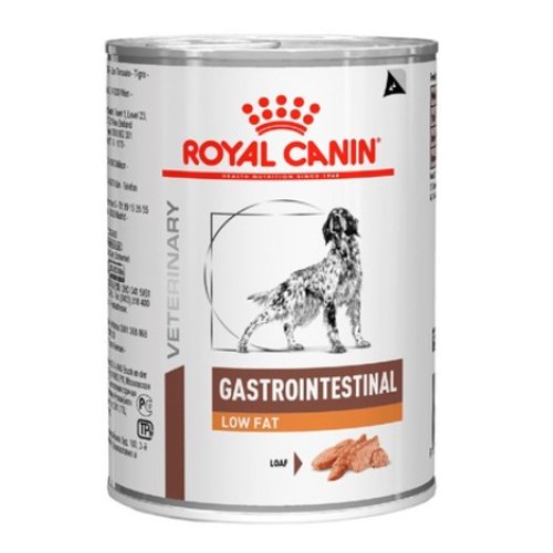 �ѱ����� �ξ�ĳ�� �� ����Ʈ�� ���׽�Ƽ�� �ο��� ĵ 420g