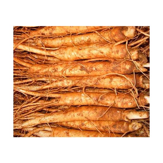 꼬레촌 수삼 5년근 삼계탕용 25뿌리 500g (1개)