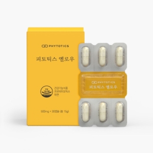  메디오젠 피토틱스 옐로우 500mg 30캡슐 [1개]