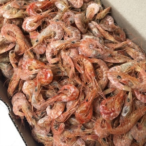 신건호멸치 국산 건새우 건조새우 마른새우 수염새우 1kg