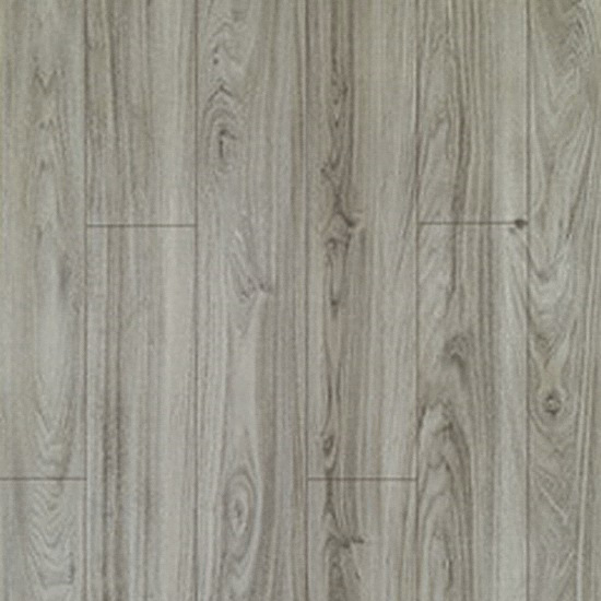 �����Ƚ� �ֽ���� �ٴ� ���� ��Ʈ��