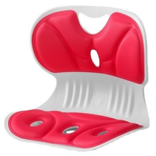 픽셀유통 와이즈픽 초경량 바른자세 L 쿠션 의자