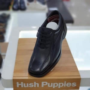 허시파피 케이티알파쇼핑 세이브존05 님성 광폭 지퍼구두 BC3MJ505 717548_5434547