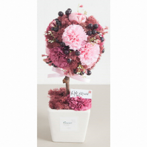 �ö��Ʈ�� ����ī���̼����Ǿȭ��set ��ũ 30cm