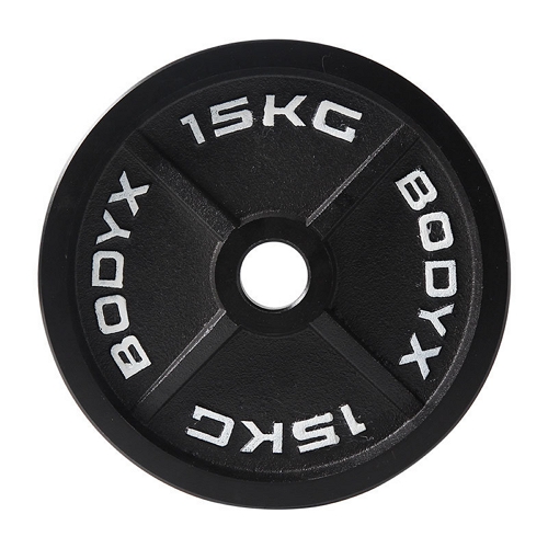 바디엑스 케이언 중량원판 (15kg, 1개)_이미지