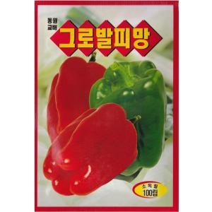  그로발피망 피망씨앗 씨앗 피망 고추씨앗 텃밭채소