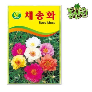 채송화 꽃씨앗