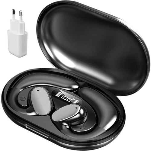 PSI코리아 Nutz 오르골 T100 (+충전어댑터)_이미지