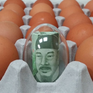 에그캡슐 투명달걀 30개_이미지
