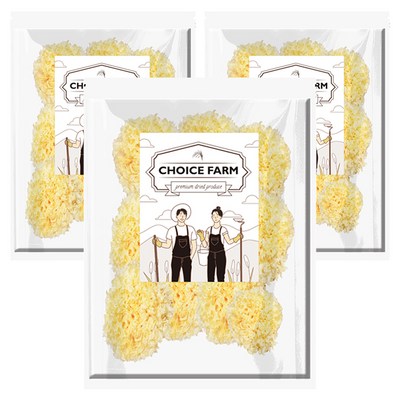 초이스팜 백목이버섯 (500g,3개)