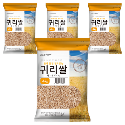 �뱸��� �Ҹ��ʿ���� �͸���