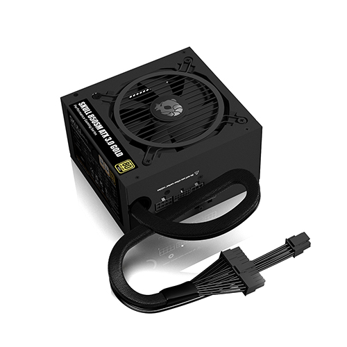 NEWZEN SKULL 850SM ��ⷯ ATX3.0 80PLUS���