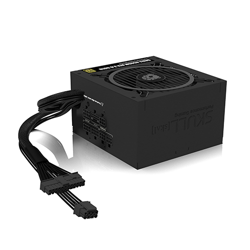 NEWZEN SKULL 850SM ��ⷯ ATX3.0 80PLUS���