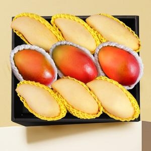 더나은후르츠 망고 혼합 9과 선물세트 3.2kg내외이미지입니다. 누르면 해당 게시물로 새창이동합니다.