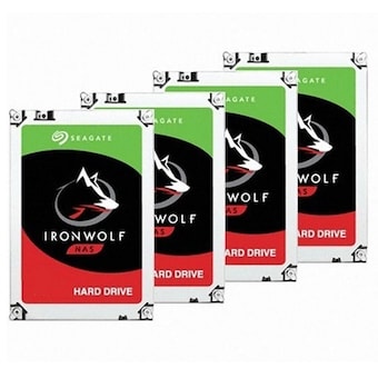 Seagate IronWolf 패키지 7200/256M ST12000VN0008